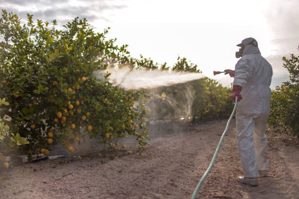 Pest Control for Warehouses